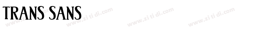 Trans Sans字体转换